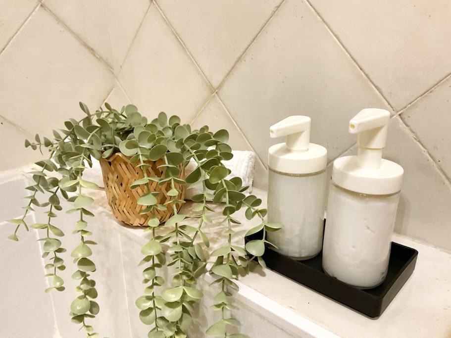 Ks Costa Mayka - San Jose - Kaleria Suites エクステリア 写真